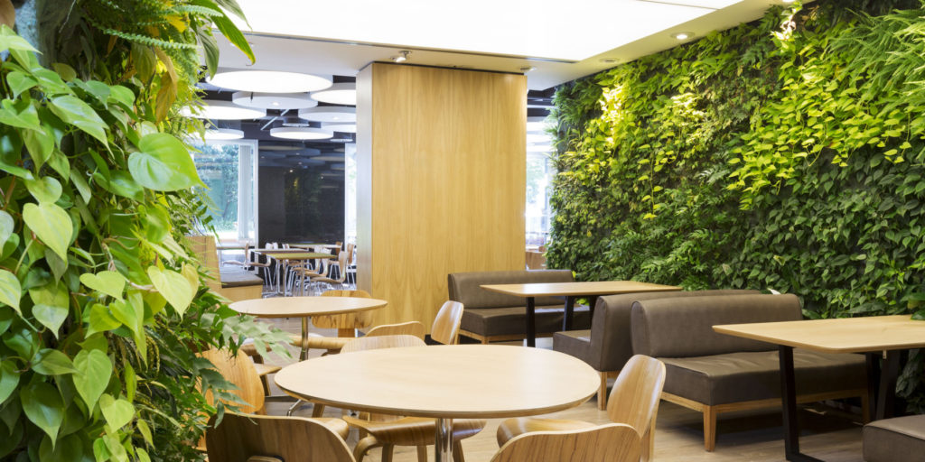 Comedor Edificio Corporativo