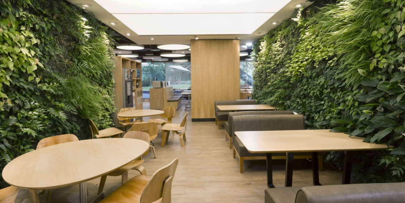 Comedor Edificio Corporativo