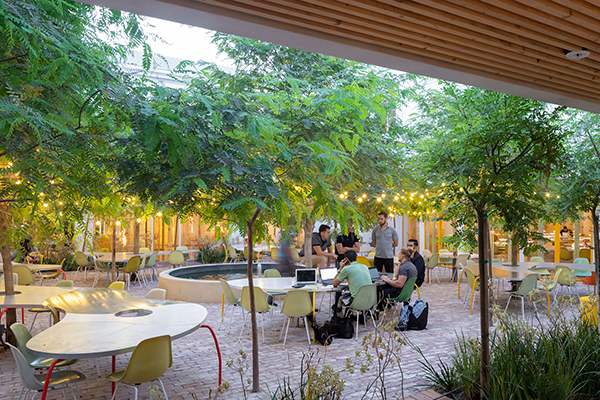 El diseño biofílico